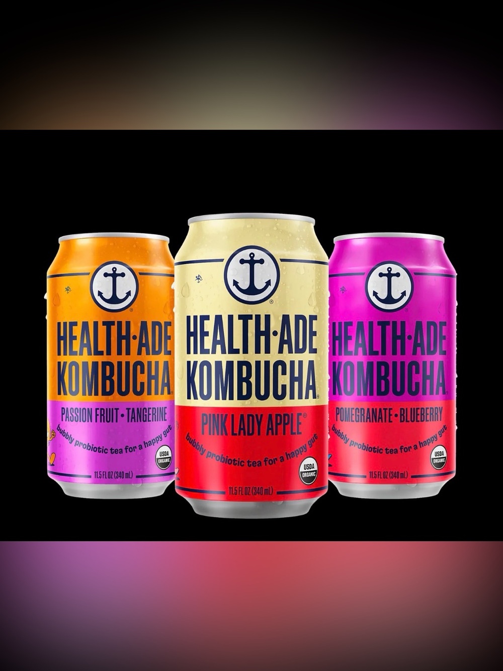 Fruity Favorites Kombucha Variety Pack in Cans